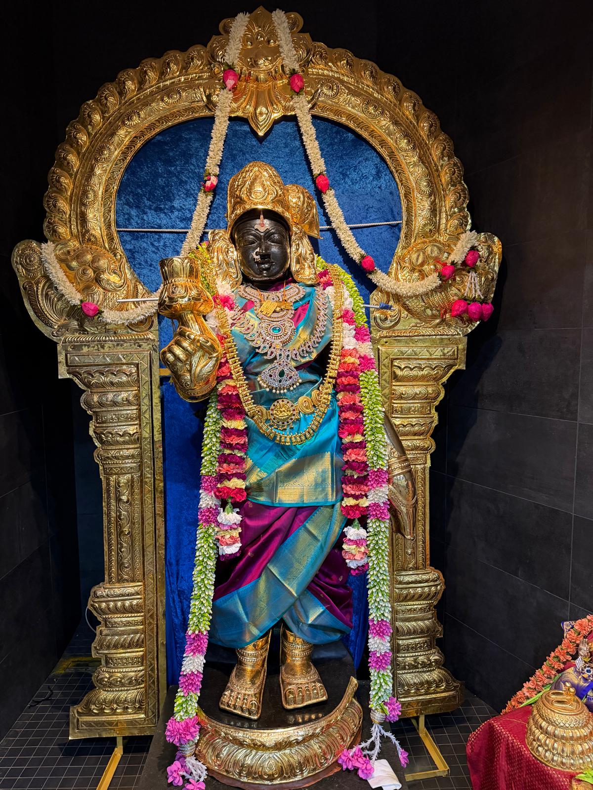 DhanurMasa Sarees - 2025