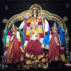 Srinivasa Kalyanam 2015